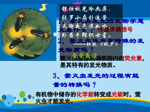 细胞的能量通货ATP(18张PPT)