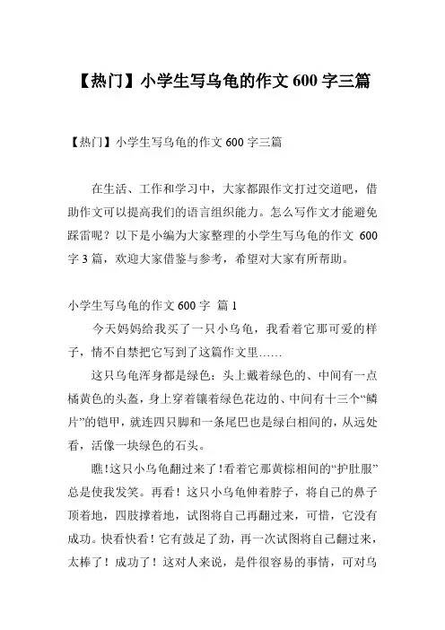 【热门】小学生写乌龟的作文600字三篇