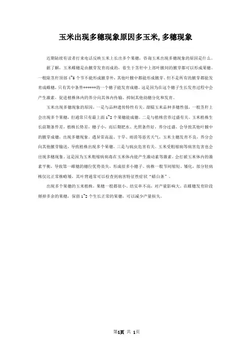 玉米出现多穗现象原因多玉米,多穗现象