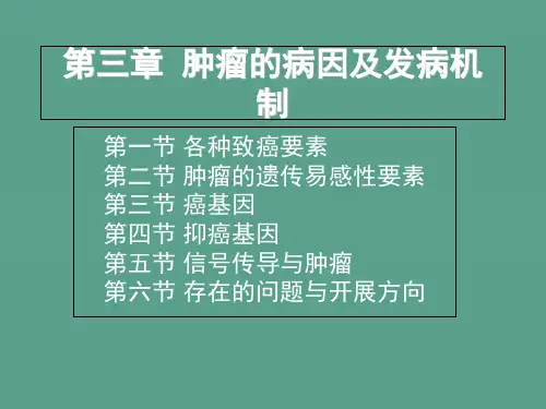 肿瘤的病因及发病机制ppt课件