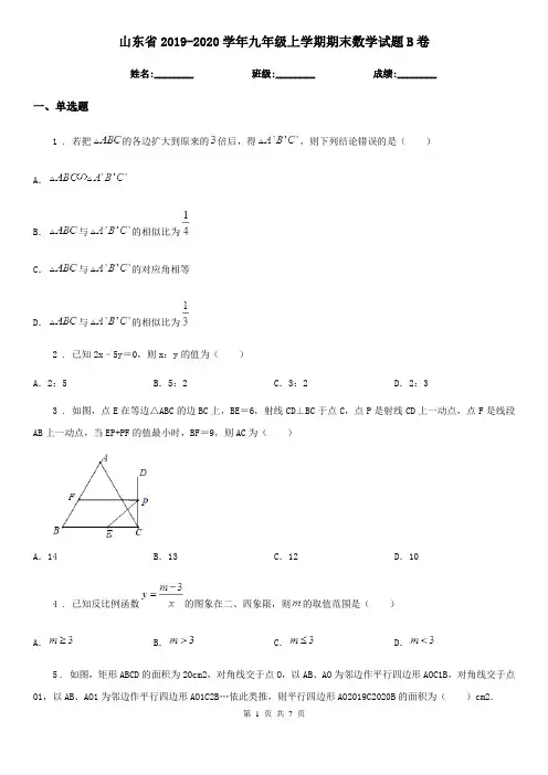 山东省2019-2020学年九年级上学期期末数学试题B卷-1
