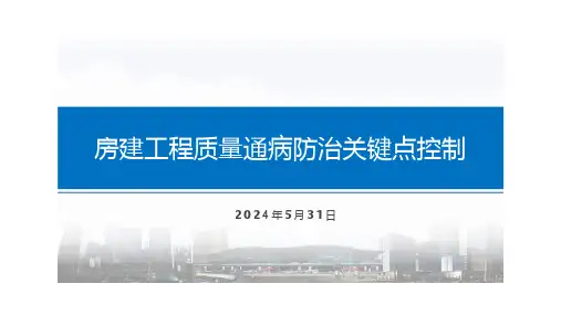 2024年房建工程质量通病防治关键点控制