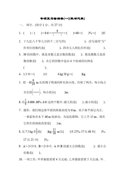 人教部编版六年级数学下册专项复习检测卷(数与代数、图形与几何)