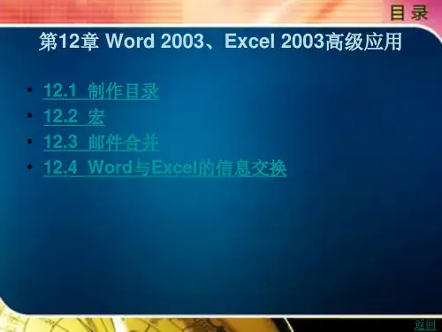 Word 2003Excel 2003高级应用