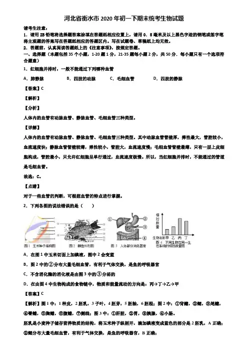 河北省衡水市2020年初一下期末统考生物试题含解析