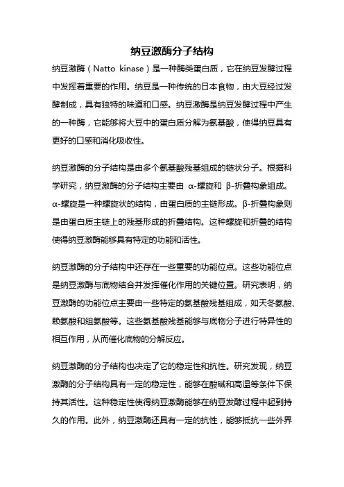 纳豆激酶分子结构