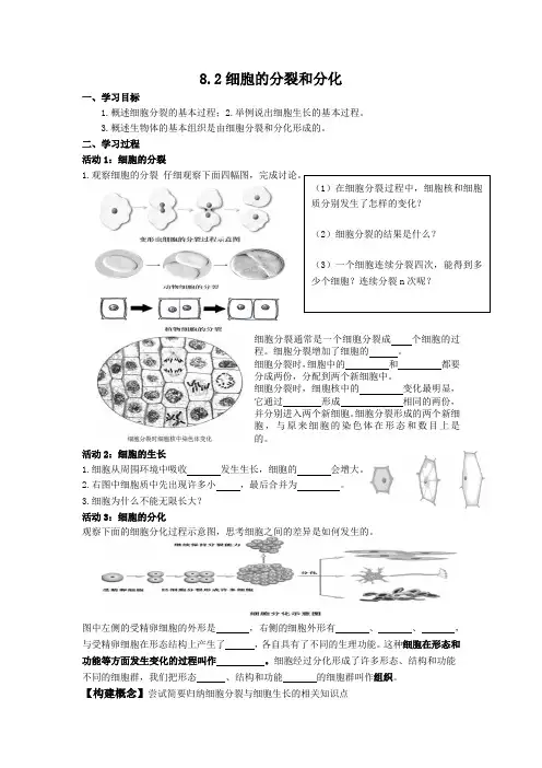 第二节细胞的分裂和分化 学案-苏科版七年级生物下册