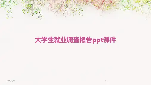 大学生就业调查报告ppt课件(2024)