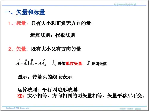 矢量标量