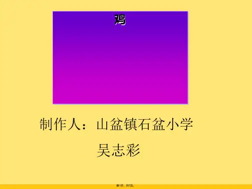 小学四年级语文上册《母鸡》课件(共7张PPT)