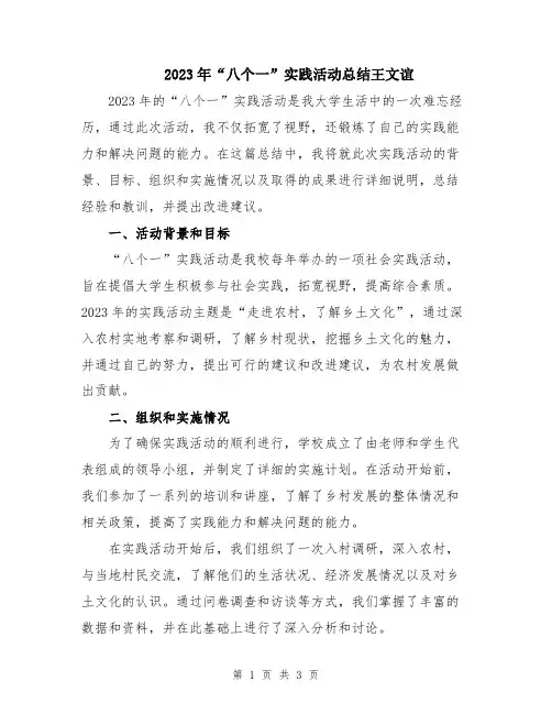 2023年“八个一”实践活动总结王文谊