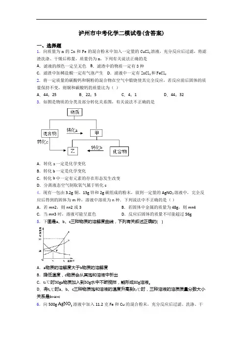 泸州市中考化学二模试卷(含答案)