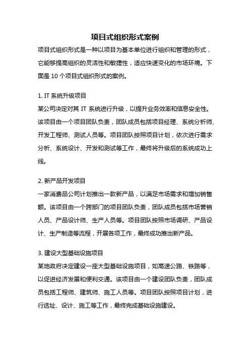 项目式组织形式案例