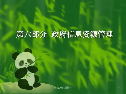 政府信息资源管理