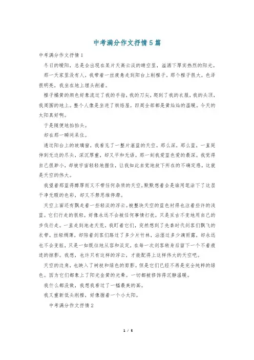 中考满分作文抒情5篇