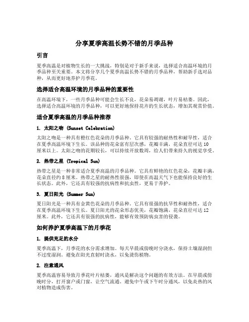 分享夏季高温长势不错的月季品种,作为新手,选对品种才好养