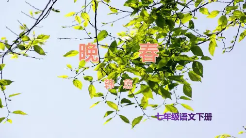第三单元课外古诗词诵读《晚春》课件(21张PPT)   部编版语文七年级下册
