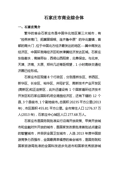石家庄调研报告初稿