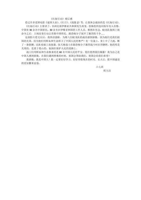 红海行动——观后感