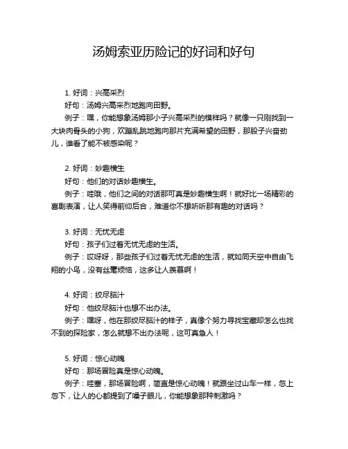 汤姆索亚历险记的好词和好句