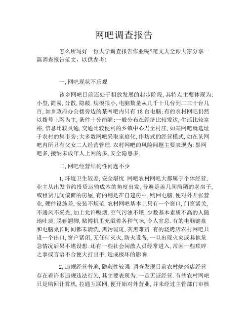 网吧调查报告