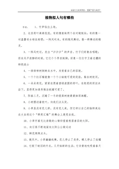 植物拟人句有哪些