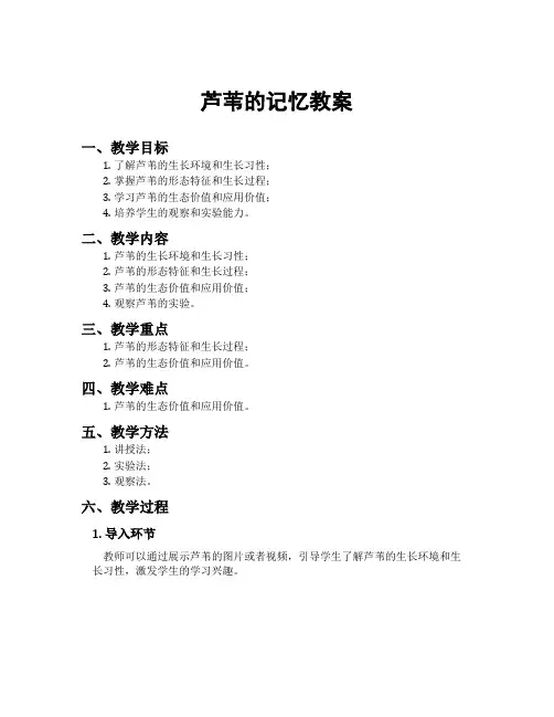 芦苇的记忆教案