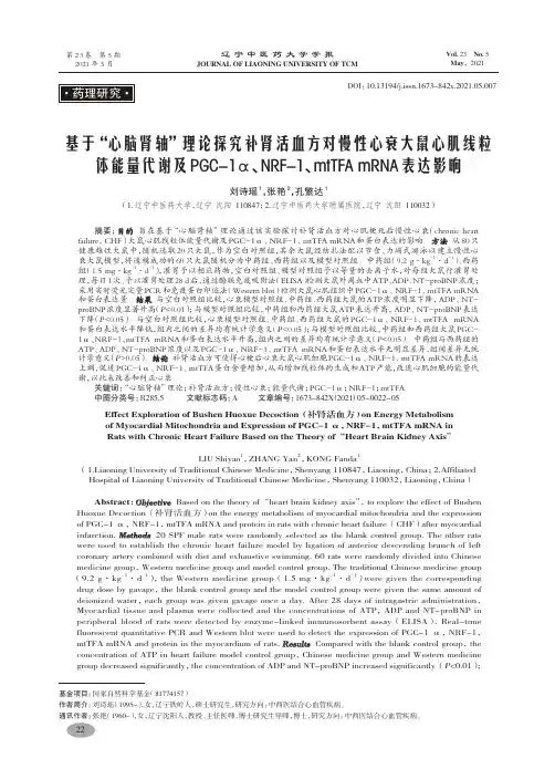 心脑肾轴理论补肾活血方对慢性心衰大鼠心肌线粒体能量代谢PGC-1α、NRF-1、mtTFA mRNA