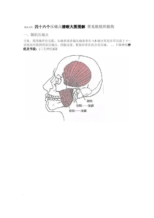 清晰大图图解常见软组织损伤四十六个压痛点
