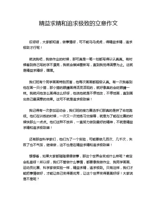 精益求精和追求极致的立意作文