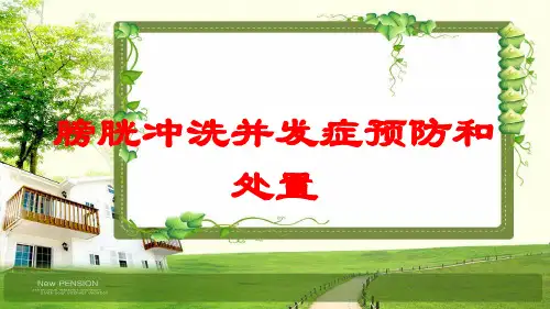 膀胱冲洗并发症预防和处置培训课件