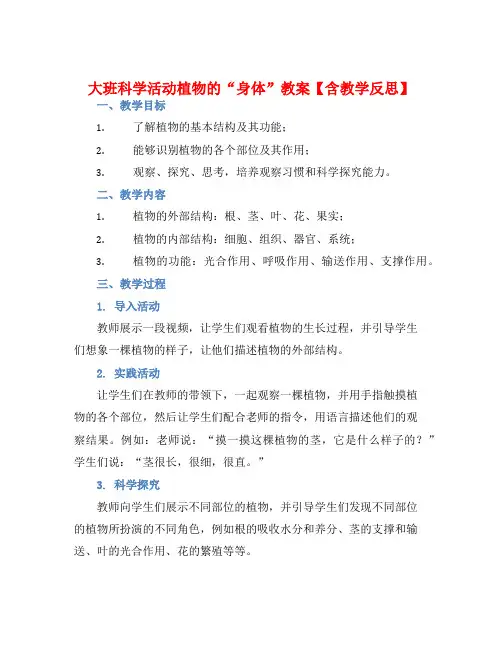 大班科学活动植物的“身体”教案【含教学反思】