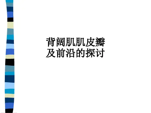 背阔肌肌皮瓣及前沿的探讨ppt课件