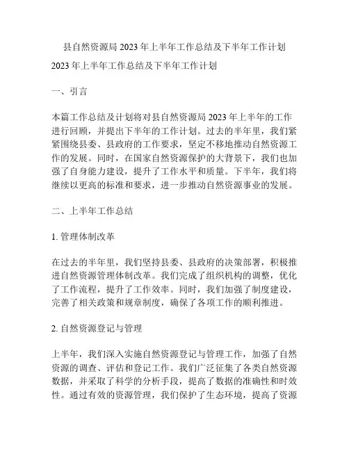 县自然资源局2023年上半年工作总结及下半年工作计划