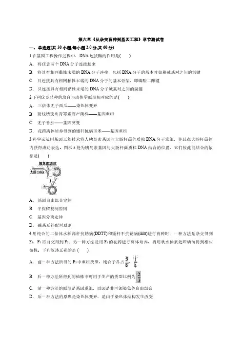 人教版高中生物必修2第六章《从杂交育种到基因工程》测试卷(含解析版)