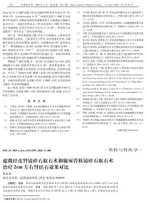 超微经皮肾镜碎石取石术和输尿管软镜碎石取石术治疗2cm左右肾结石效果对比