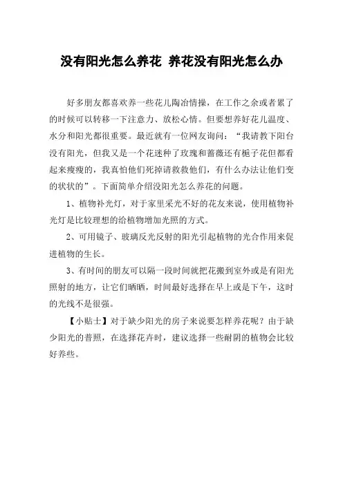 没有阳光怎么养花 养花没有阳光怎么办