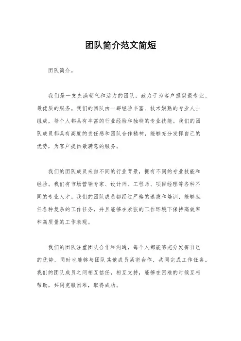 团队简介范文简短