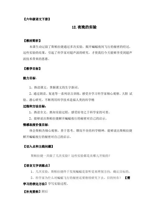 六年级语文下册夜晚的试验