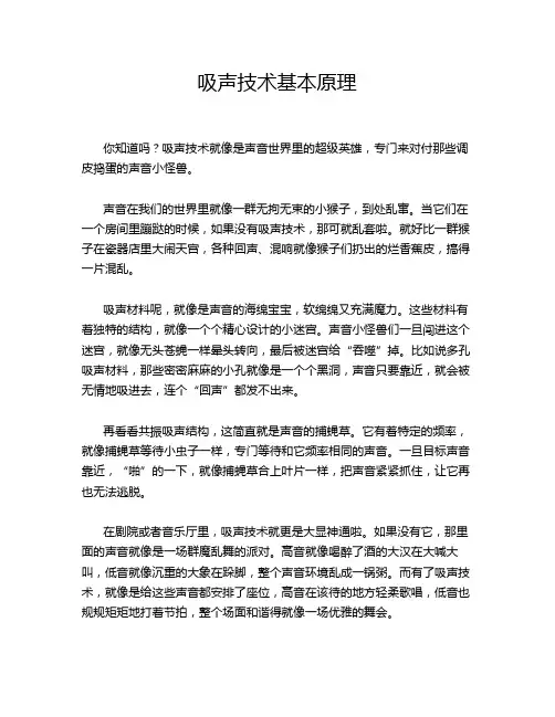 吸声技术基本原理