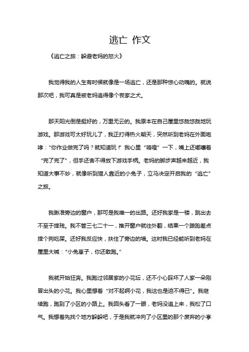 逃亡 作文