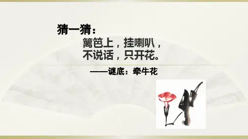 深圳优质课件       小学五年级美术中国画牵牛花
