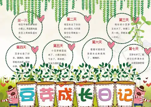 豆芽生长过程手抄报板报5