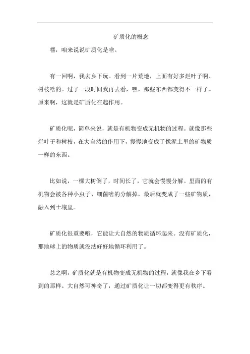矿质化的概念