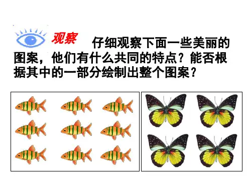 平移参考课件1