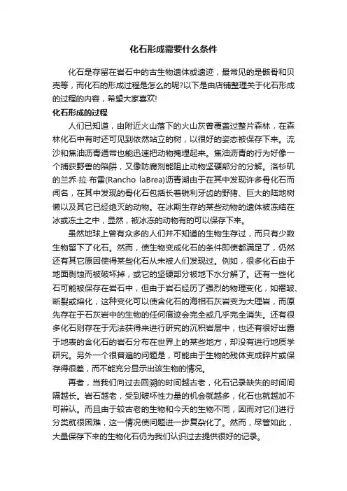 化石形成需要什么条件