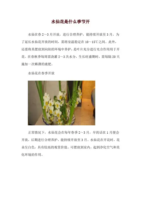 水仙花是什么季节开