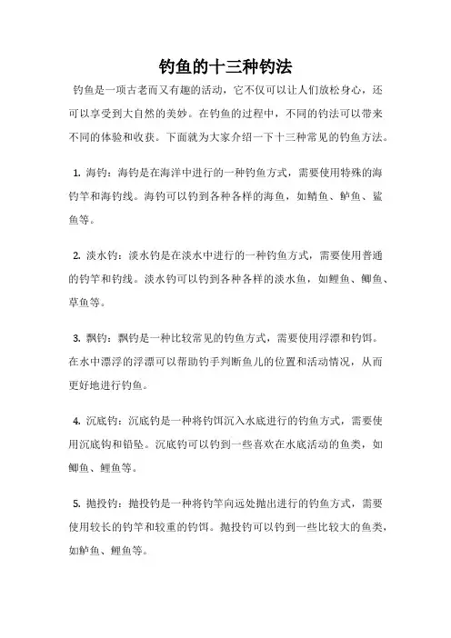 钓鱼的十三种钓法