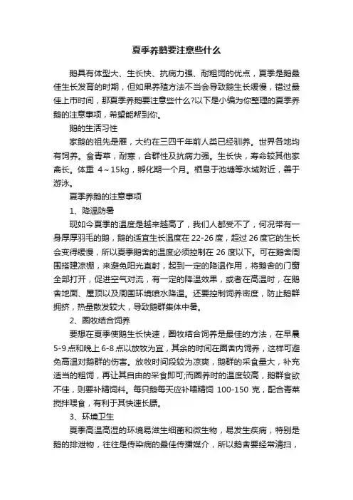 夏季养鹅要注意些什么