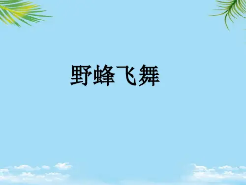 《野蜂飞舞》课件全面版